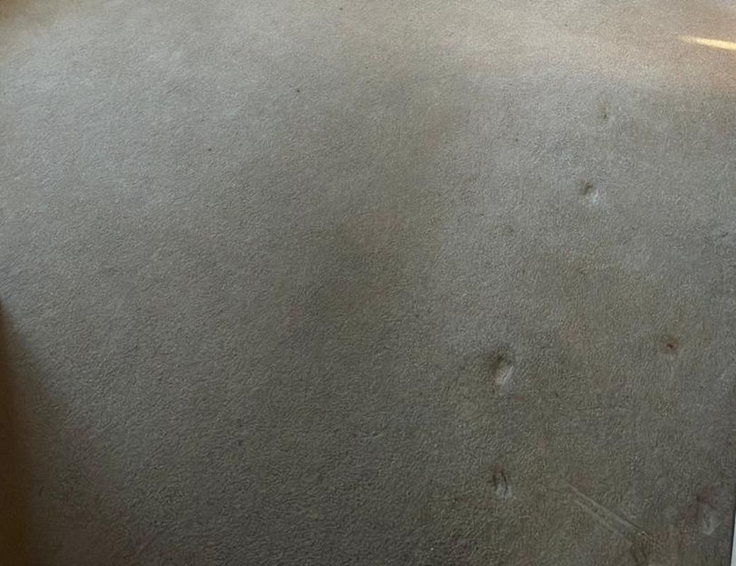 Bedroom carpet before cleaning with traffic marks